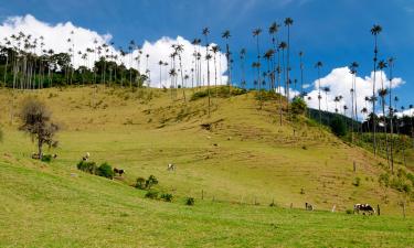 Hoteles baratos en Tuluá