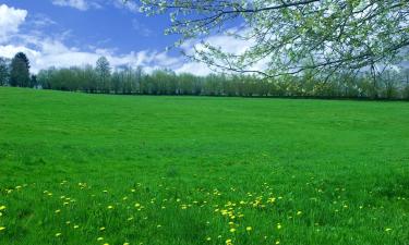 Holiday Homes in Stoumont