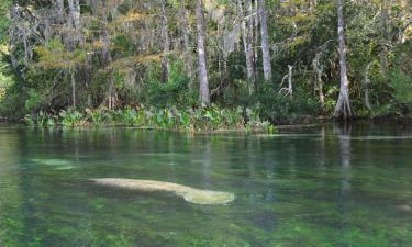 Villas en Weeki Wachee