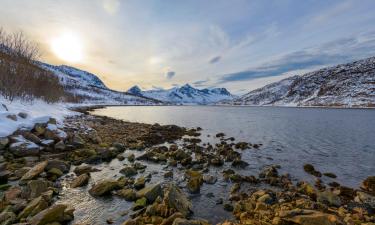 Sifjord şehrindeki kendin pişir kendin ye