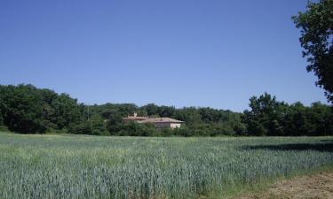 Appartements à Pibrac