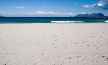 Appartamenti a Porto San Paolo