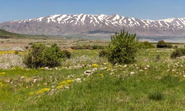 Lodges in Yesod Hamaala