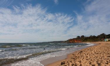 Case de vacanță în Rye