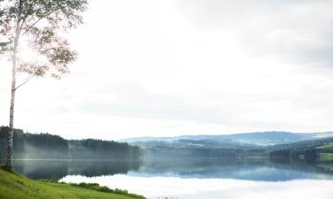 Ferienunterkünfte in Brumunddalen