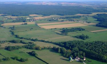 Hoteles económicos en Joigny