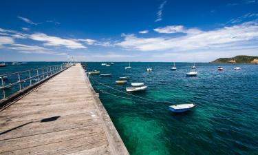 Chalupy v destinaci Flinders