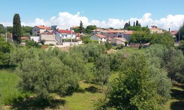 Apartments in Vabriga