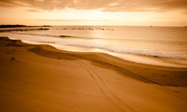 Beach rentals in Bocapán