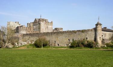 Bed and breakfasts en Cahir