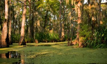 Lejligheder i Westwego