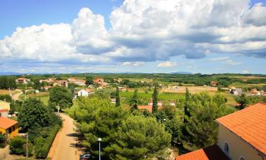 Holiday Rentals in Kaštelir