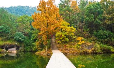 Hoteles en Lishui