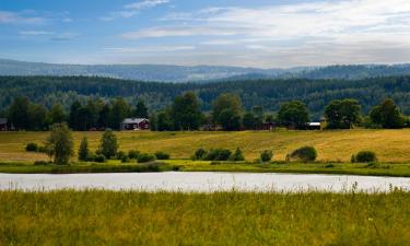 Hoteller i Torsby