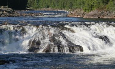 Gæludýravæn hótel í Hønefoss