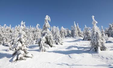 Ski Resorts in Wieden