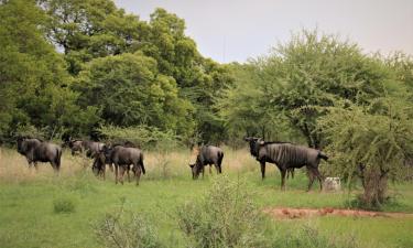 Hoteles en Hammanskraal