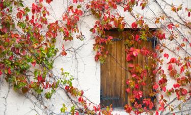 Allotjaments vacacionals a Kalavasos