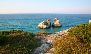 Locations de vacances à Conca Specchiulla