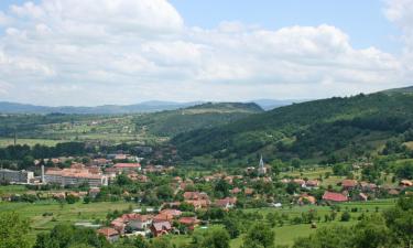 Hotely s parkovaním v destinácii Şuncuiuş