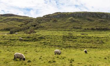 Bed & breakfast-steder i Ballymoney