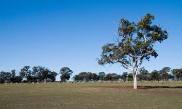 Hoteles familiares en Manjimup