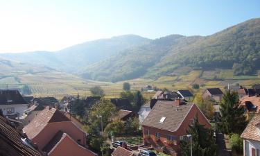 Apartments in Wintzenheim