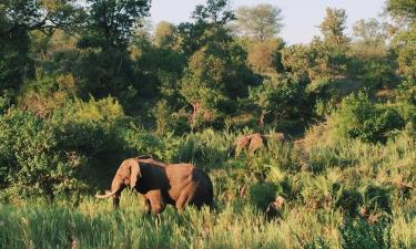 Hotéis em Empangeni