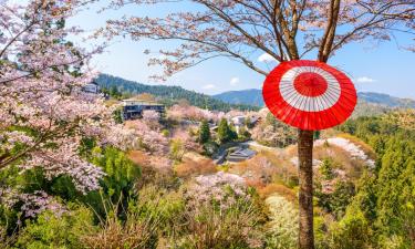 吉野的傳統日式旅館