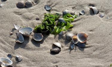 Domy przy plaży w mieście Pourville-sur-Mer