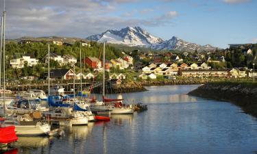 Billig ferie til Narvik