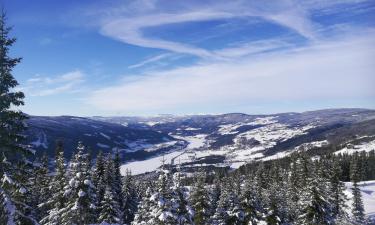 Hotel Mesra Haiwan Peliharaan di Hafjell