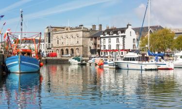 Pet-Friendly Hotels in Plymouth