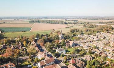 Cottages in Wingham