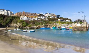Pet-Friendly Hotels in Newquay