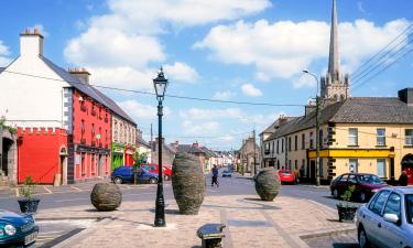 Hoteles en Carlow