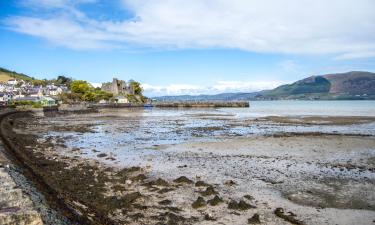 Bed and Breakfasts en Carlingford