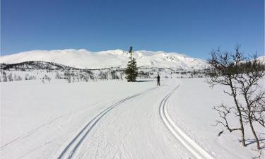 Hoteller på Rauland