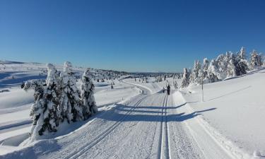 Mga Ski Resort sa Nordseter