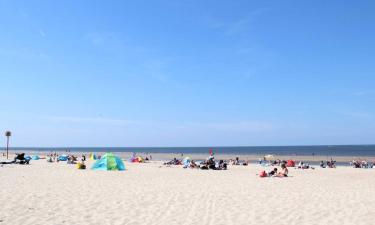 Apartments in Renesse