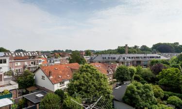 Beach rentals in Bloemendaal