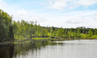 Villas en Töcksfors