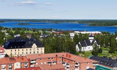 Pet-Friendly Hotels in Piteå