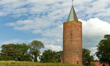 Cabañas en Vordingborg