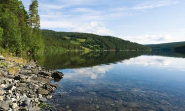 Holiday Rentals in Skåbu