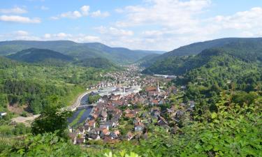 Hoteluri în Bad Wildbad