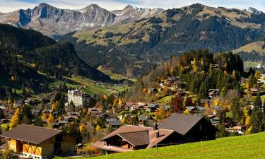 Apartments in Gstaad