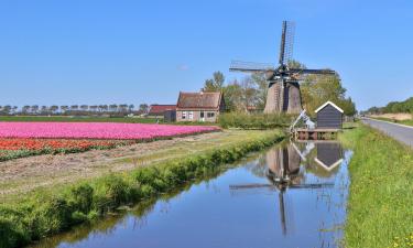 Cottages in Sint Maartensbrug