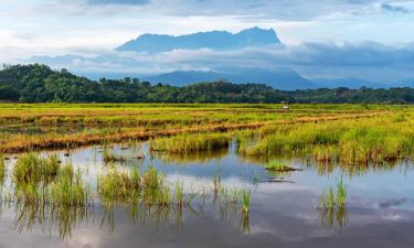 Hoteles en Kota Belud