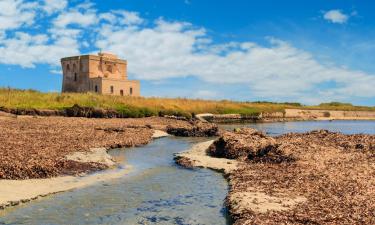 Cabañas en Serranova